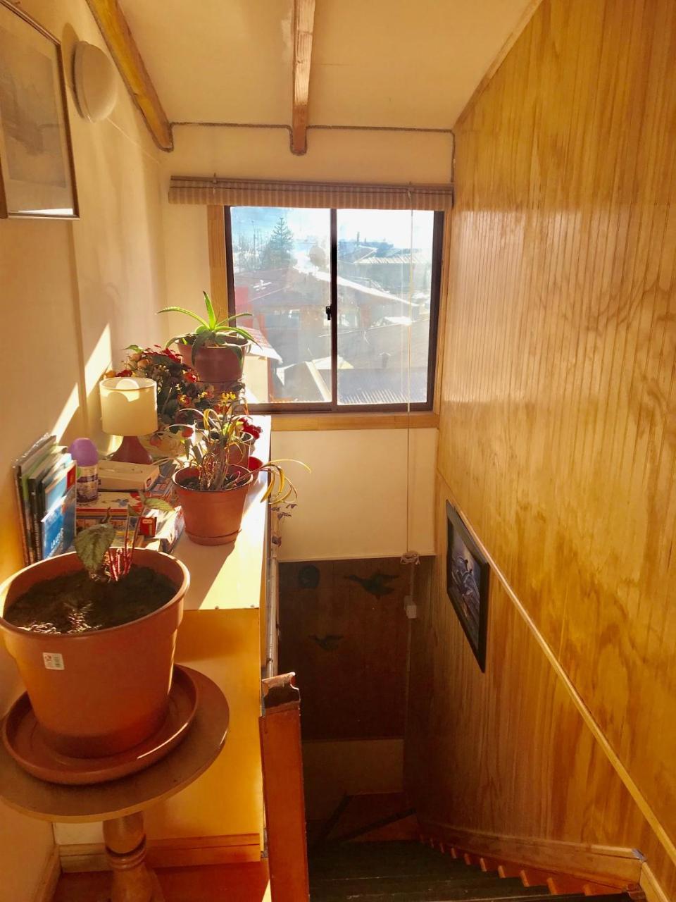 Hostal Patagonia Marmol Coyhaique Exteriér fotografie